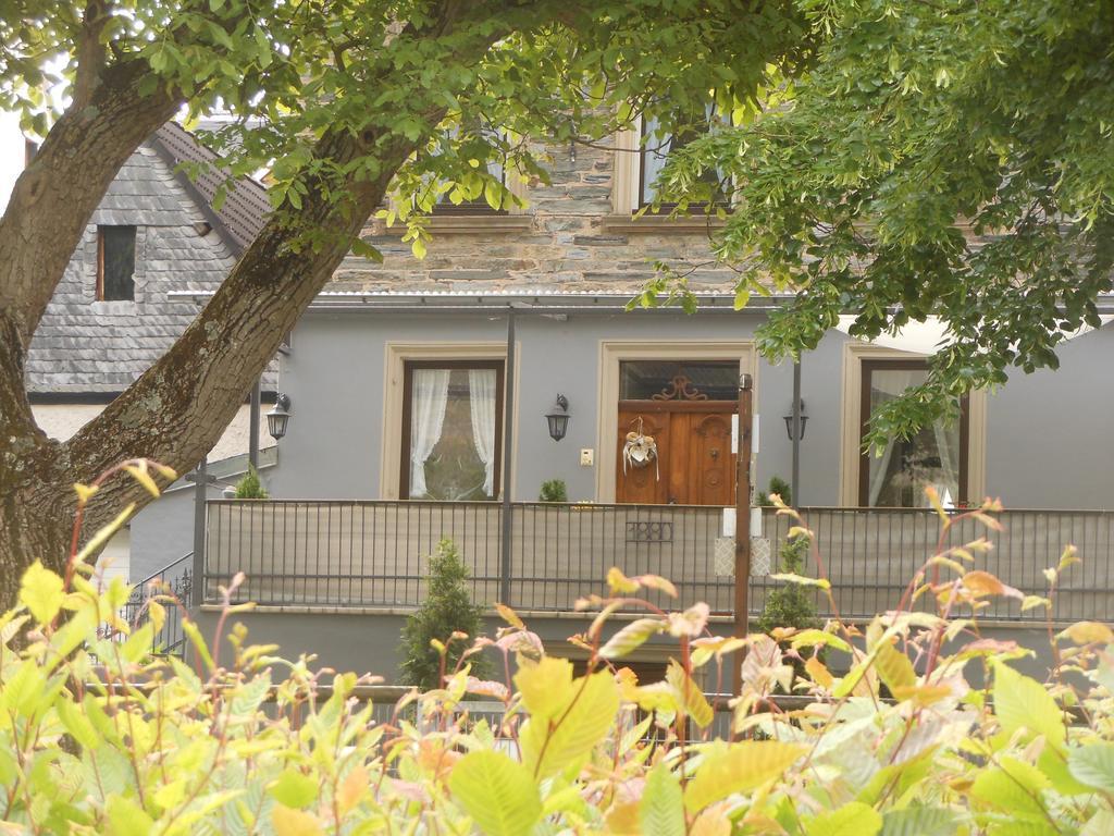 Vila Ferienhaus Mosel Brauneberg Exteriér fotografie
