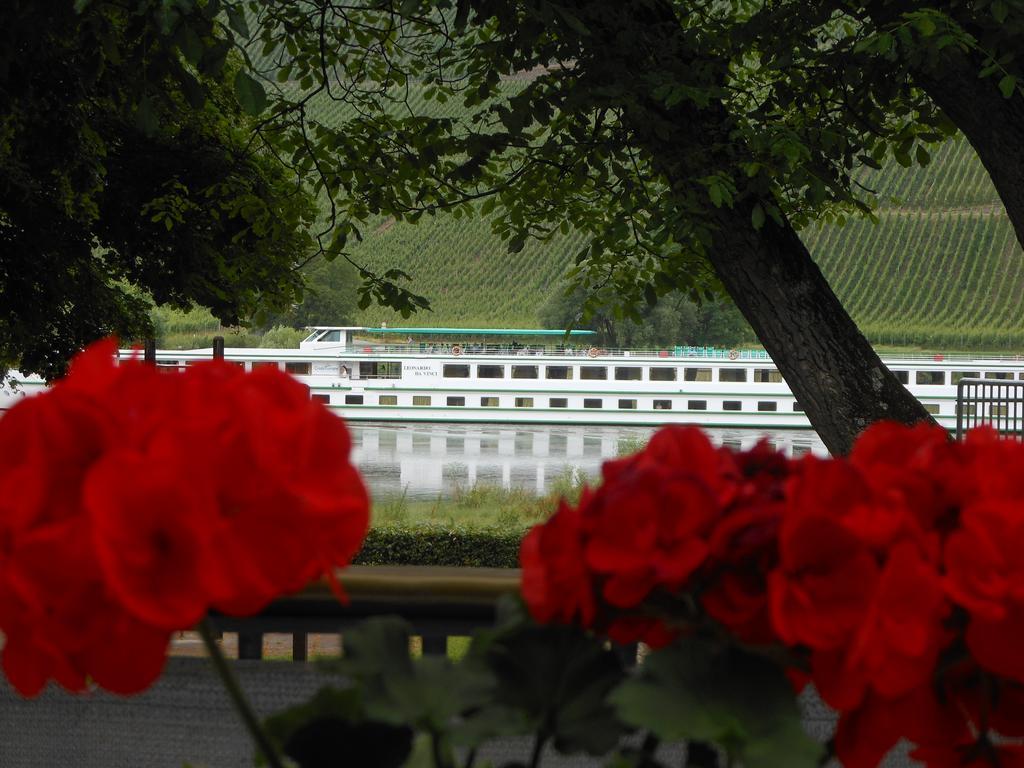 Vila Ferienhaus Mosel Brauneberg Exteriér fotografie